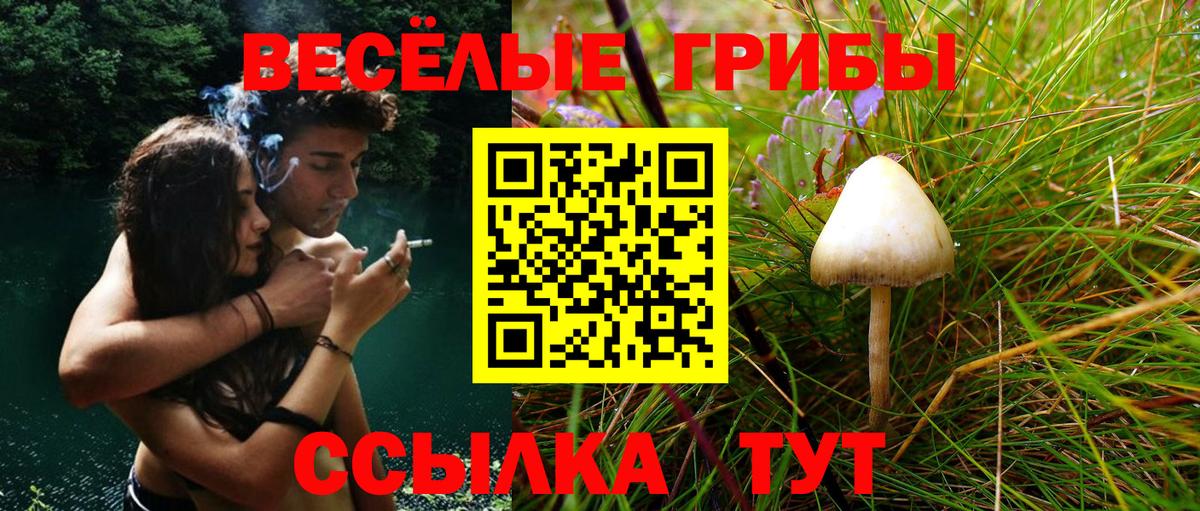 Галлюциногенные грибы мицелий  Вход с VPN  Верхняя Салда 
